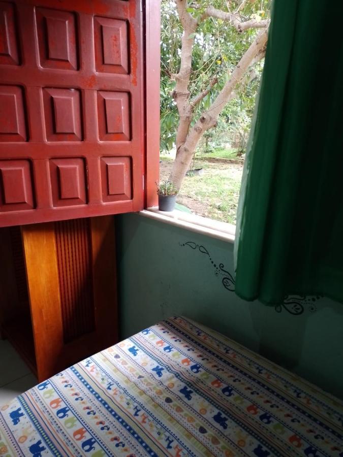 Caju Hostel Alter do Chão Dış mekan fotoğraf